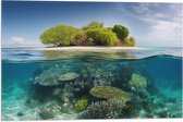 Vlag - Koraal - Oceaan - Zee - Eiland - 60x40 cm Foto op Polyester Vlag