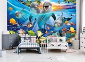 Fotobehang - Vliesbehang - Dolfijnen en Tropische Vissen in Zee - Onderwaterwereld - 368 x 254 cm