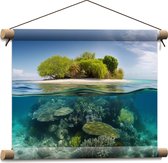 Textielposter - Koraal - Oceaan - Zee - Eiland - 40x30 cm Foto op Textiel