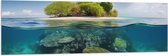 Vlag - Koraal - Oceaan - Zee - Eiland - 150x50 cm Foto op Polyester Vlag