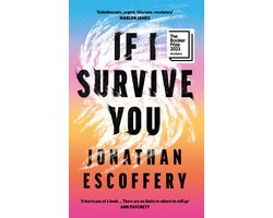 Omslag van If I Survive You