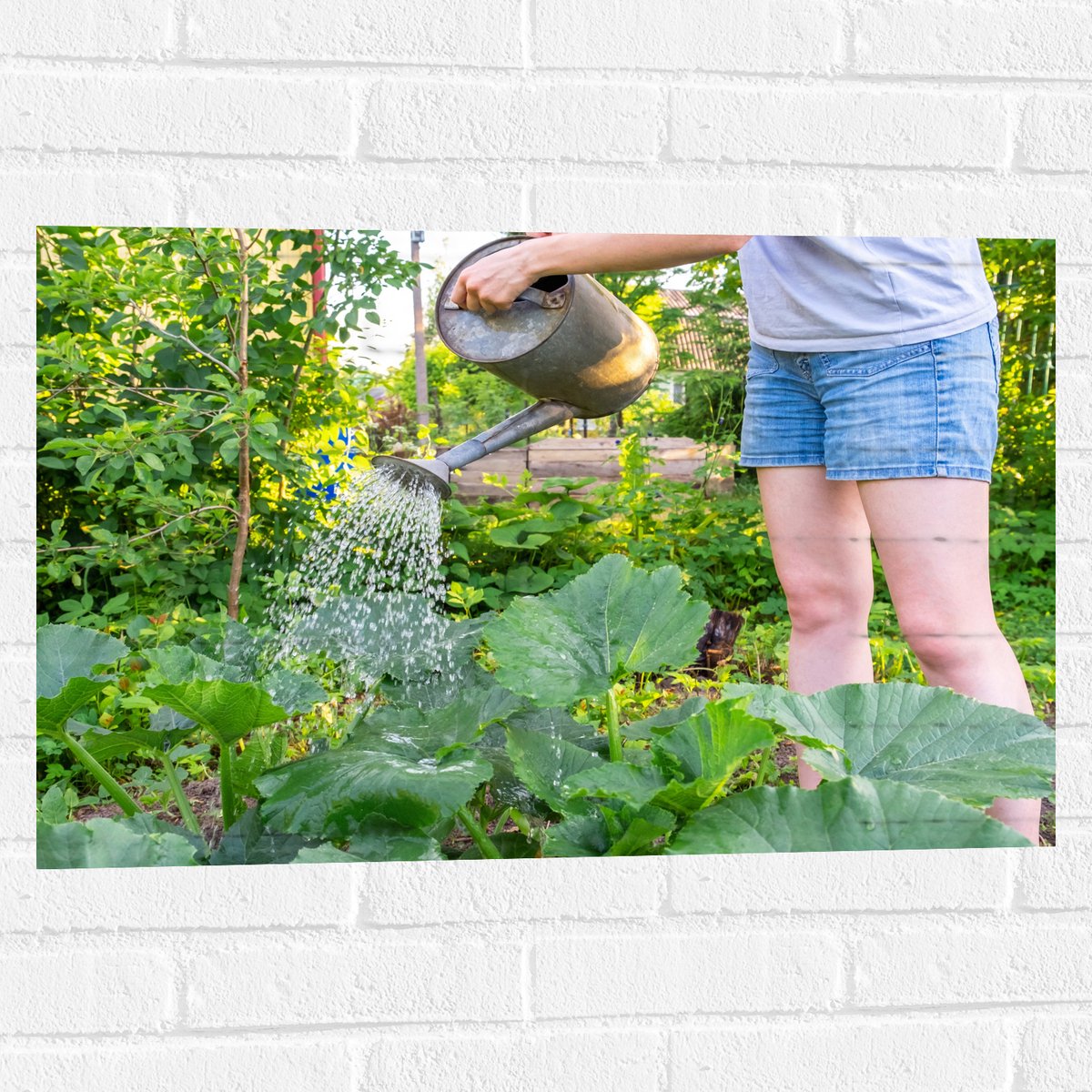 Muursticker - Tuin - Bloemen - Planten - Gieter - Water - Groen - 75x50 cm Foto op Muursti