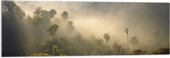 Acrylglas - Ochtend - Bos - Mistig - Bomen - 120x40 cm Foto op Acrylglas (Wanddecoratie op Acrylaat)