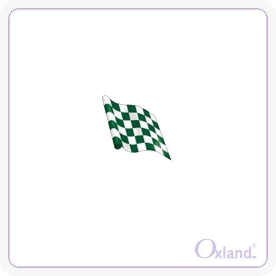wit en groen geblokte vlaggen set van 9 stuks bol