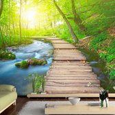 Fotobehangkoning - Behang - Vliesbehang - Fotobehang Groen Bos - Green forest - 250 x 175 cm