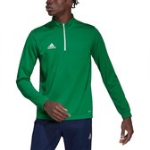 Adidas Entrada 22 Training Sweatshirt Groen XS / Regular Man