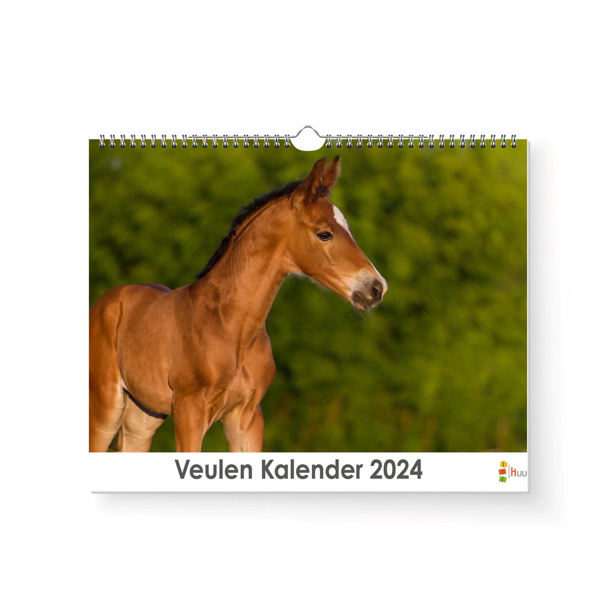 XL 2024 Kalender - Jaarkalender - Veulen