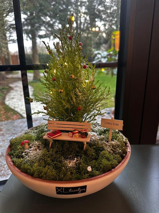 Schep lepels, bodemschep, Lichtgewicht draagbare PP Succulente tools, Comfortabele grip stevige tuinieren handgereedschap voor binnenplanting van sappige zorg potten