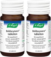 A. Vogel Boldocynara - 2 x 80 tabletten