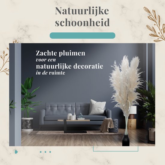 Sunny Tree - Pampas Pluimen - 5 Stuks 105 cm - Droogbloemen - Pampasgras Pluimen - Decoratie Woonkamer - Decoratieve Accessoires