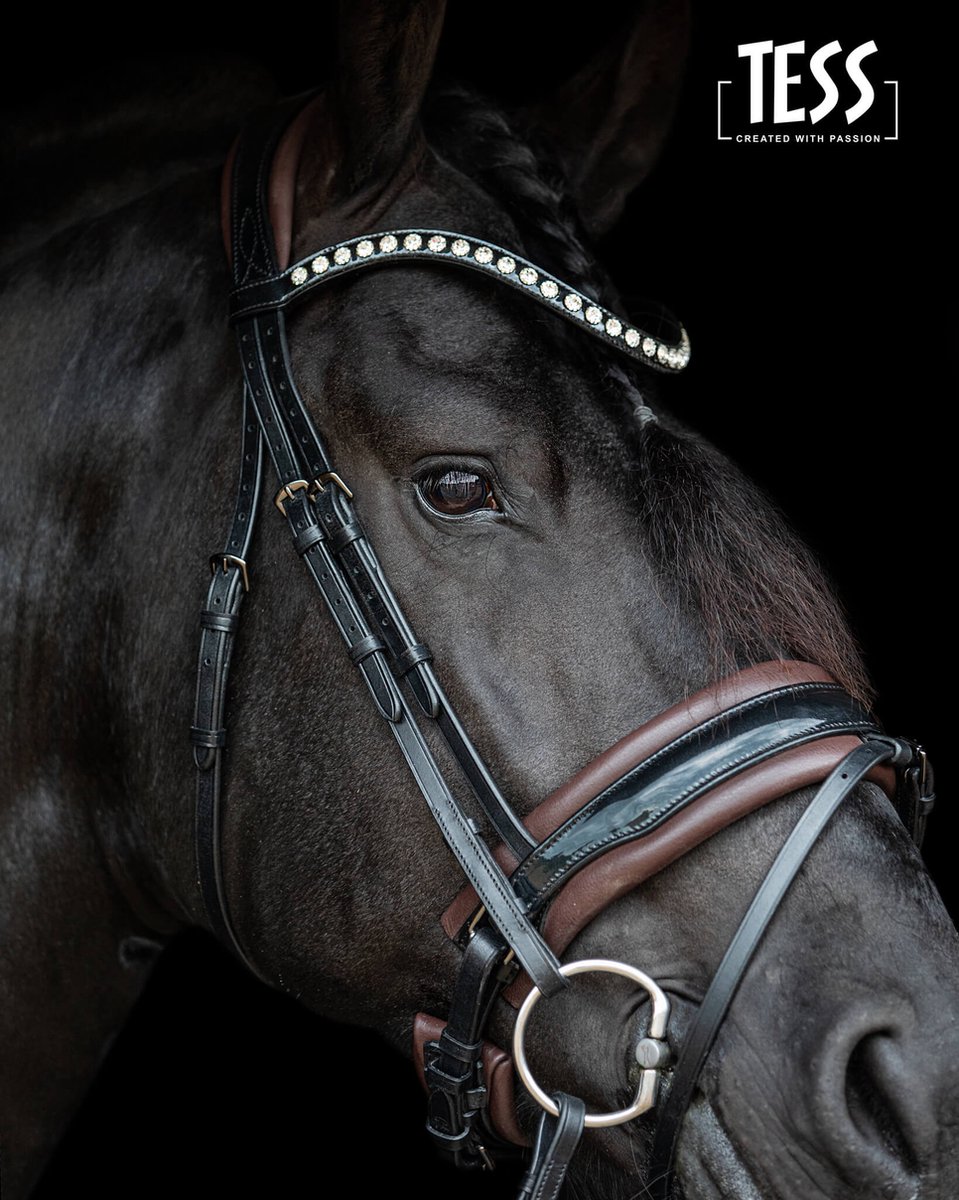 Hoofdstel TESS Standaard trenshoofdstel Wide zwart/Australian nut maat Cob