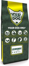 Yourdog Leeuwhondje Rasspecifiek Senior Hondenvoer 6kg | Hondenbrokken