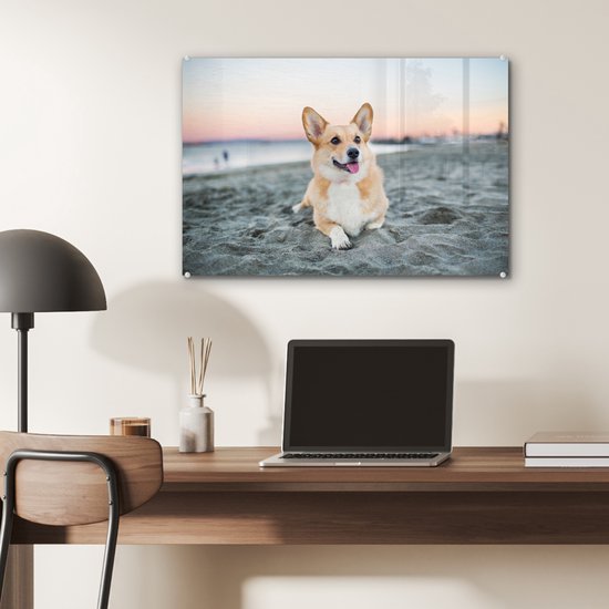 Chien sur la plage en Glas 60x40 cm - Tirage photo sur Glas (décoration murale en plexiglas)