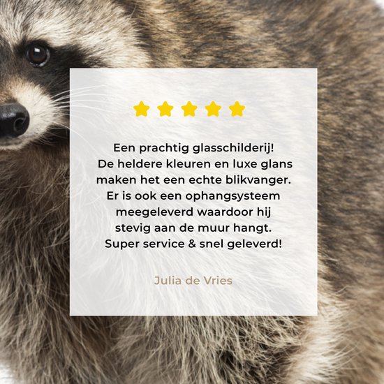 MuchoWow® Peinture sur verre 160x120 cm - Peinture sur verre acrylique - Raton laveur - Animaux - fond blanc - Garçons - Filles - Enfants - Photo sur verre - Peintures