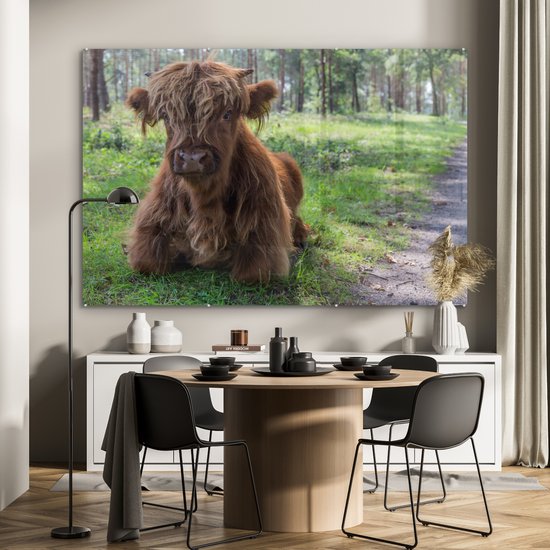 MuchoWow® Glasschilderij 180x120 cm - Schilderij acrylglas - Schotse Hooglander - Pad - Dieren - Foto op glas - Schilderijen