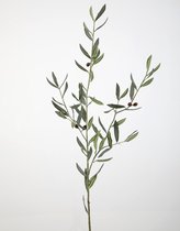 Flora Arte - Kunsttak - Olijftak - Kunstplanten - 129 cm