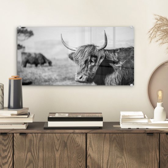 Zwart-wit glasafbeelding van een Schotse Hooglander met lange hoorns, boven een dressoir.