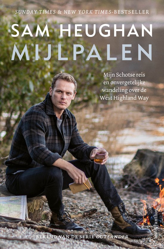 Mijlpalen - cover