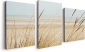 Artaza Canvas Schilderij Drieluik Strand en Zee met Begroeiing - 120x60 - Foto Op Canvas - Canvas Print