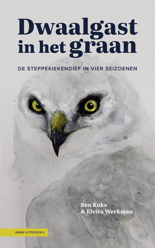 Dwaalgast in het graan - cover
