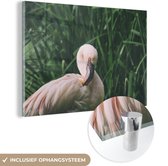 MuchoWow® Glasschilderij 180x120 cm - Schilderij acrylglas - Een flamingo staat tussen het gras - Foto op glas - Schilderijen