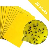 Daily Essentialz Fruitvliegjes Vanger - Rouwvliegjes - Fruitvliegjes - Vliegenvanger - Fruitvliegval - Vliegenval - Insectenvanger - 20 stuks