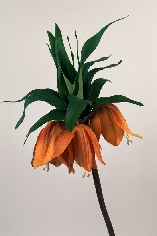 Zijden kunstbloem Keizerskroon | Oranje | Lengte 73 centimeter