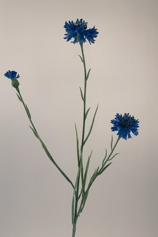 Zijden kunstbloem Korenbloem | Blauw | Lengte 62 centimeter