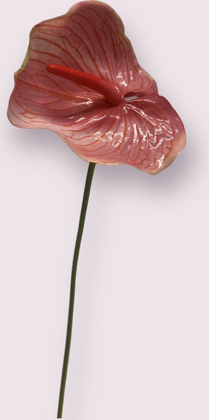 Zijden kunstbloem Anthurium | Roze | Lengte 70 centimeter