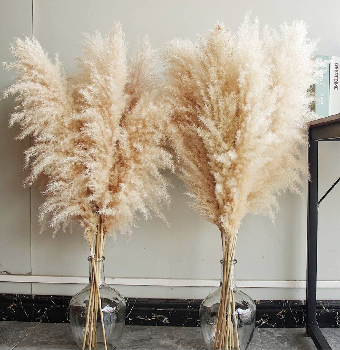 HoA Creative Beige Pampas pluimen 10 stuks Rietpluimen droogboeket Pampas Beige kleur Creme Pampas Droogbloemen