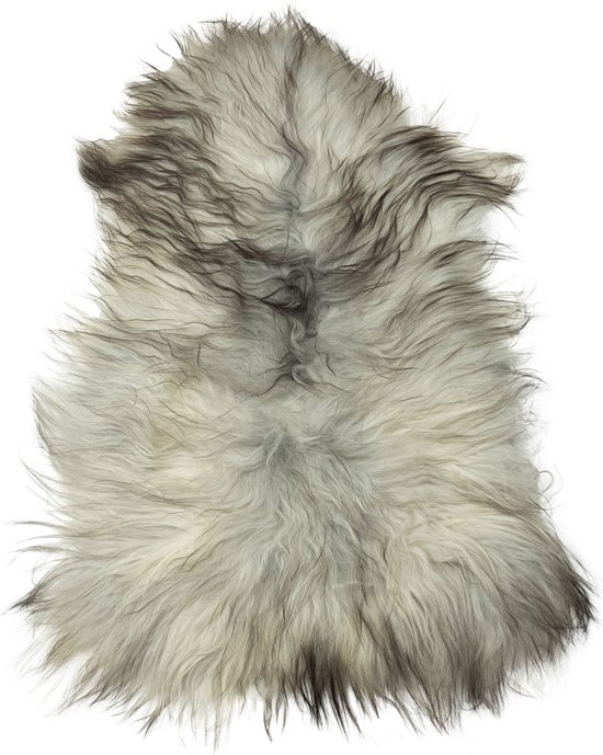 Peau de mouton blanche Grijs à poil long (islandais)