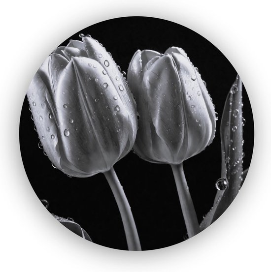 Tulp schilderij rond 75x75 cm - Muurcirkel - Zilver - Wanddecoratie industrieel- Bloemen - Tulpen - Muurdecoratie zwart wit - Woonkamer decoratie - Huisaccessoires - Dibond