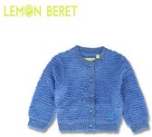 BLAUWE TRUI BABY - Glitter - Geschenktip - Maat 74 / 9 Maand