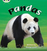 Phonics Bug: Pandas Phase 3 (N-F)