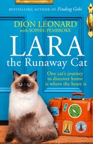 Lara The Runaway Cat One cats journey to discover home is where the heart is