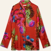 Bingo long sleeves blouse 19 Plants of Joy Red Clay Red: 36