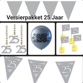 Versierpakket 25 Jaar, Zilveren Huwelijk, Verjaardag, Jubileum Themafeest, Zilver.
