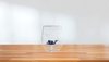 Handgemaakt Duikerglas | Kristallen Drinkglas | Dessertglas met Glazen Duiker | Hoogwaardige Glazen voor Alle Gelegenheden | Cadeau voor Verjaardag, Bruiloft, Jubileum | Hoge Kwaliteit