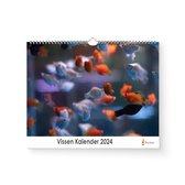 XL 2024 Kalender - Jaarkalender - Vissen
