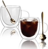 Dubbelwandige glazen koffiekopjes met 2 lepels, 250 ml set van 2 geïsoleerde glazen koffiekopjes met handvat, heldere koffiekopjes voor cappuccino, espresso, latte, thee, hittebestendige glazen voor