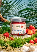Sea Moss gel - 395 ml - Aardbei - Saint Lucia - Laboratorium Getest - Dr. Sebi Geïnspireerd - Rijk aan Vitaminen & Mineralen