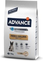 Advance Adult French Bulldog