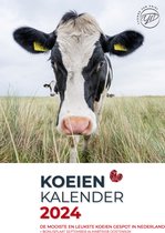 Koeien Kalender 2024 koeienkalender A4formaat incl.verzendkosten met notitieruimte en ophanghaakje Yvonne van Driel