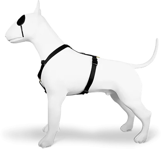 Harnais pour chien Morso H-Harness Recycled Gold Caviar Goud