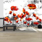 Fotobehangkoning - Behang - Vliesbehang - Fotobehang - Perdition - Bloemen - 300 x 210 cm