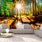 Fotobehangkoning - Behang - Vliesbehang - Fotobehang - Marvelous Forest - Bos - Zonsondergang - Zonnestralen tussen de Bomen - 250 x 175 cm