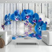 Fotobehangkoning - Behang - Vliesbehang - Fotobehang - Cobaltic orchid - Orchidee - 150 x 105 cm