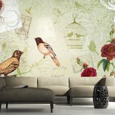 Fotobehangkoning - Behang - Vliesbehang - Fotobehang - Vintage Vogels - 350 x 245 cm