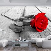 Fotobehangkoning - Behang - Vliesbehang - Fotobehang - Abandoned Rose - Rode Roos - Bloem - Bloemen - Rozen - 250 x 175 cm