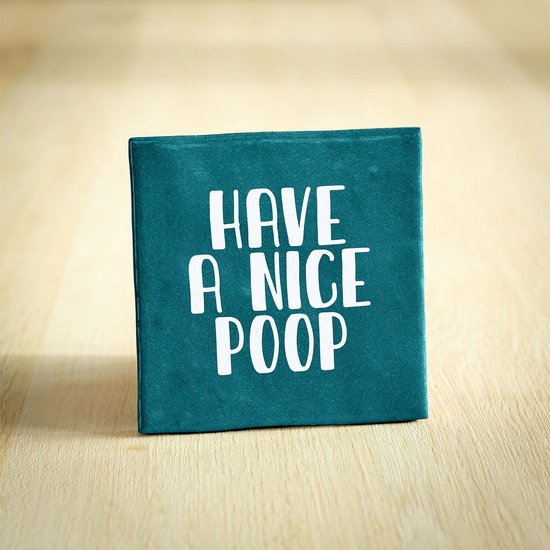 Tegeltje - Have A Nice Poop | Turquoise | 10x10cm - Interieur - Wijsheid - Tegelwijsheid - Spreuktegel - Keramiek - BONT